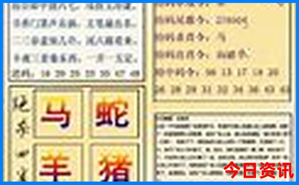 属马女最漂亮的部位